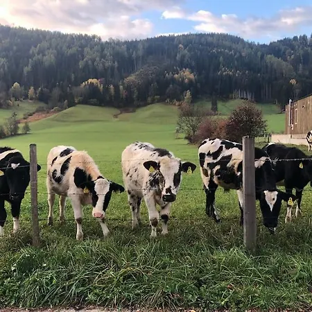 Myholzhaus - Zum Wohlfuehlen *