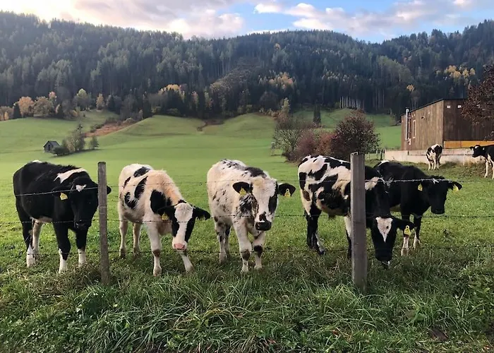 Myholzhaus - Zum Wohlfuehlen *